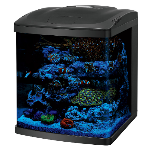 Aquarium 16g - 2