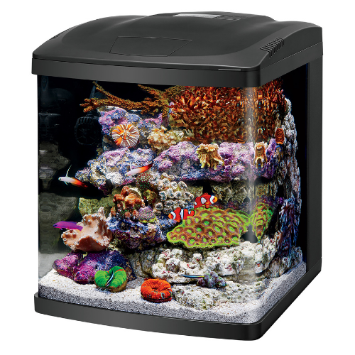 29 gallon biocube hotsell